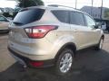 2017 White Gold Ford Escape SE 4WD  photo #5