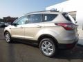 2017 White Gold Ford Escape SE 4WD  photo #7