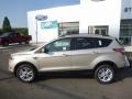 2017 White Gold Ford Escape SE 4WD  photo #8