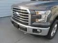 2016 Magnetic Ford F150 XLT SuperCrew 4x4  photo #10