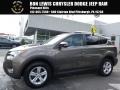 Pyrite Mica 2013 Toyota RAV4 XLE AWD