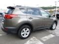Pyrite Mica - RAV4 XLE AWD Photo No. 5