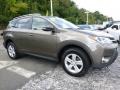 Pyrite Mica - RAV4 XLE AWD Photo No. 7