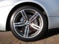 Silverstone Metallic - M6 Coupe Photo No. 27