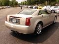 Gold Mist - XLR Roadster Photo No. 4