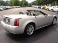 Gold Mist - XLR Roadster Photo No. 8