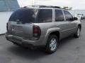 Light Pewter Metallic - TrailBlazer LTZ 4x4 Photo No. 3