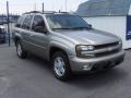 Light Pewter Metallic - TrailBlazer LTZ 4x4 Photo No. 4