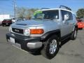 Titanium Metallic - FJ Cruiser  Photo No. 3