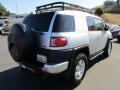 Titanium Metallic - FJ Cruiser  Photo No. 7