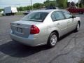 2006 Silverstone Metallic Chevrolet Malibu LS Sedan  photo #3