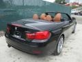 Jet Black - 4 Series 430i xDrive Convertible Photo No. 4