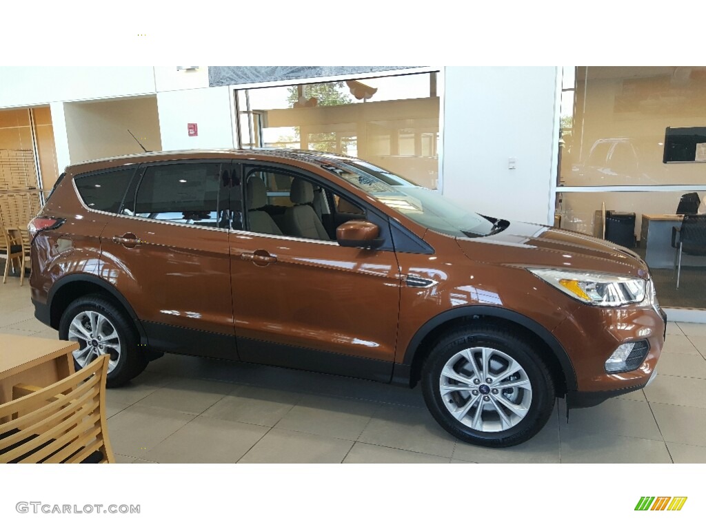 Canyon Ridge 2017 Ford Escape SE Exterior Photo #115599190