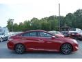 Venetian Red Pearl - Sonata Hybrid Photo No. 2