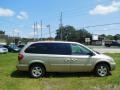 Linen Gold Metallic - Grand Caravan SXT Photo No. 11