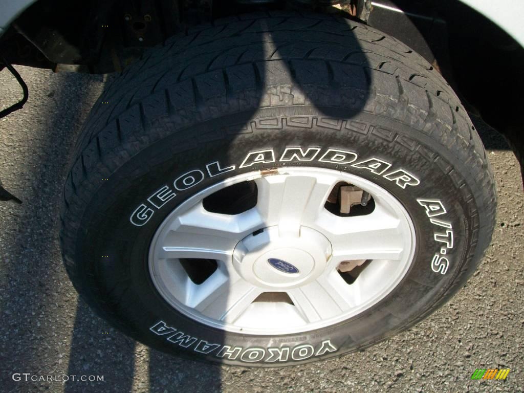 2005 F150 STX Regular Cab 4x4 - Silver Metallic / Medium Flint Grey photo #9