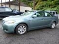Aloe Green Metallic - Camry LE Photo No. 5