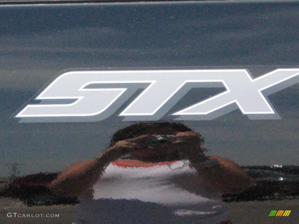 2008 F150 STX Regular Cab - Black / Medium/Dark Flint photo #8