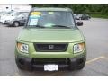 2006 Kiwi Metallic Honda Element EX-P AWD  photo #3