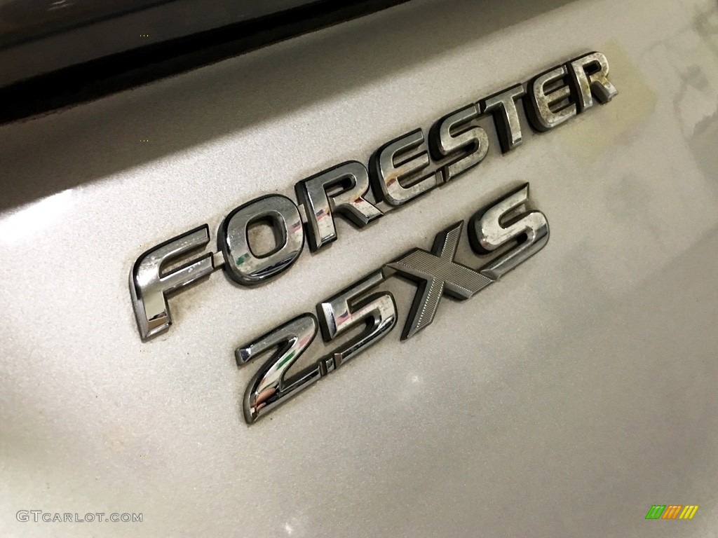 2004 Forester 2.5 XS - Platinum Silver Metallic / Gray photo #95