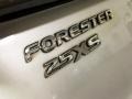 2004 Platinum Silver Metallic Subaru Forester 2.5 XS  photo #95
