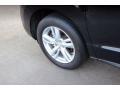Crystal Black Pearl - RDX Technology Photo No. 12