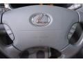 Mercury Metallic - LS 430 Photo No. 23