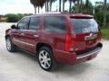 Infrared - Escalade  Photo No. 5