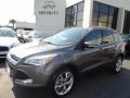 Sterling Gray 2014 Ford Escape Titanium 2.0L EcoBoost