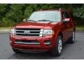 2017 Ruby Red Ford Expedition Limited  photo #14