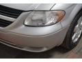 2006 Bright Silver Metallic Dodge Caravan SXT  photo #46