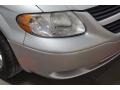 2006 Bright Silver Metallic Dodge Caravan SXT  photo #47