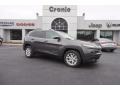 Granite Crystal Metallic - Cherokee Latitude Photo No. 1