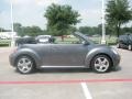 Platinum Grey - New Beetle 2.5 Convertible Photo No. 4
