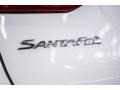  2016 Santa Fe Sport 2.0T Logo