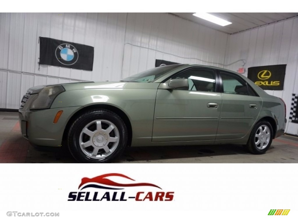 2004 CTS Sedan - Silver Green / Light Gray/Ebony photo #1