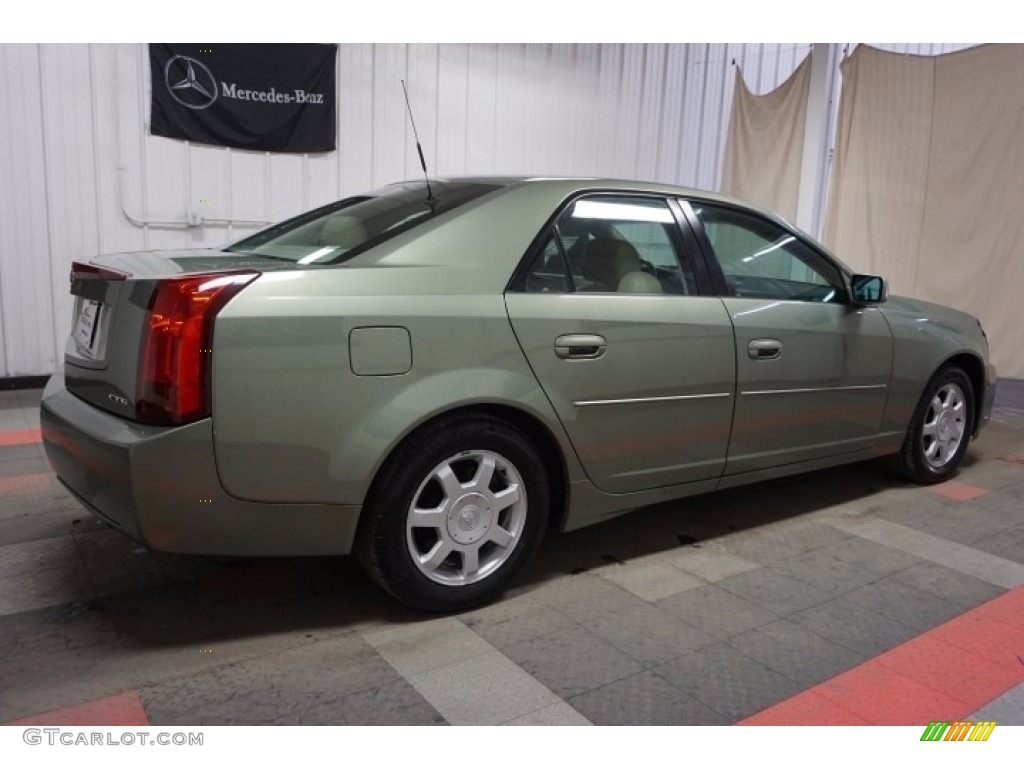 2004 CTS Sedan - Silver Green / Light Gray/Ebony photo #7