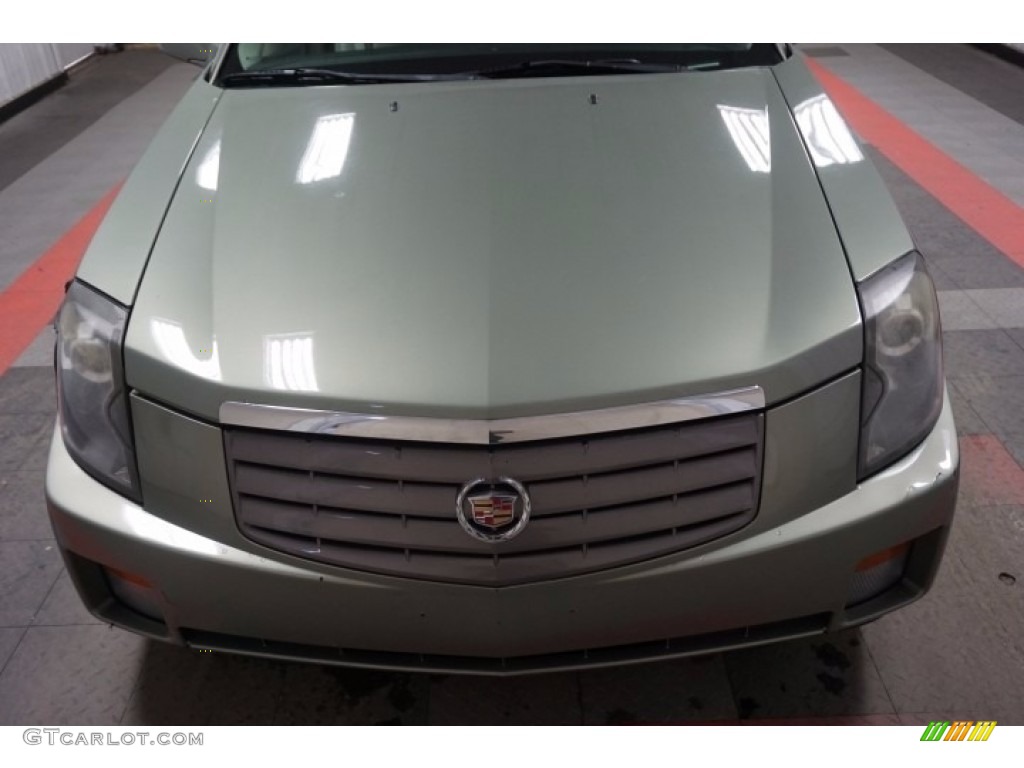 2004 CTS Sedan - Silver Green / Light Gray/Ebony photo #43