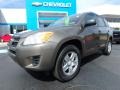 Pyrite Metallic - RAV4 I4 4WD Photo No. 2