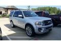 Ingot Silver Metallic - Expedition Limited 4x4 Photo No. 3