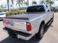 Ingot Silver Metallic - F250 Super Duty Platinum Crew Cab 4x4 Photo No. 7