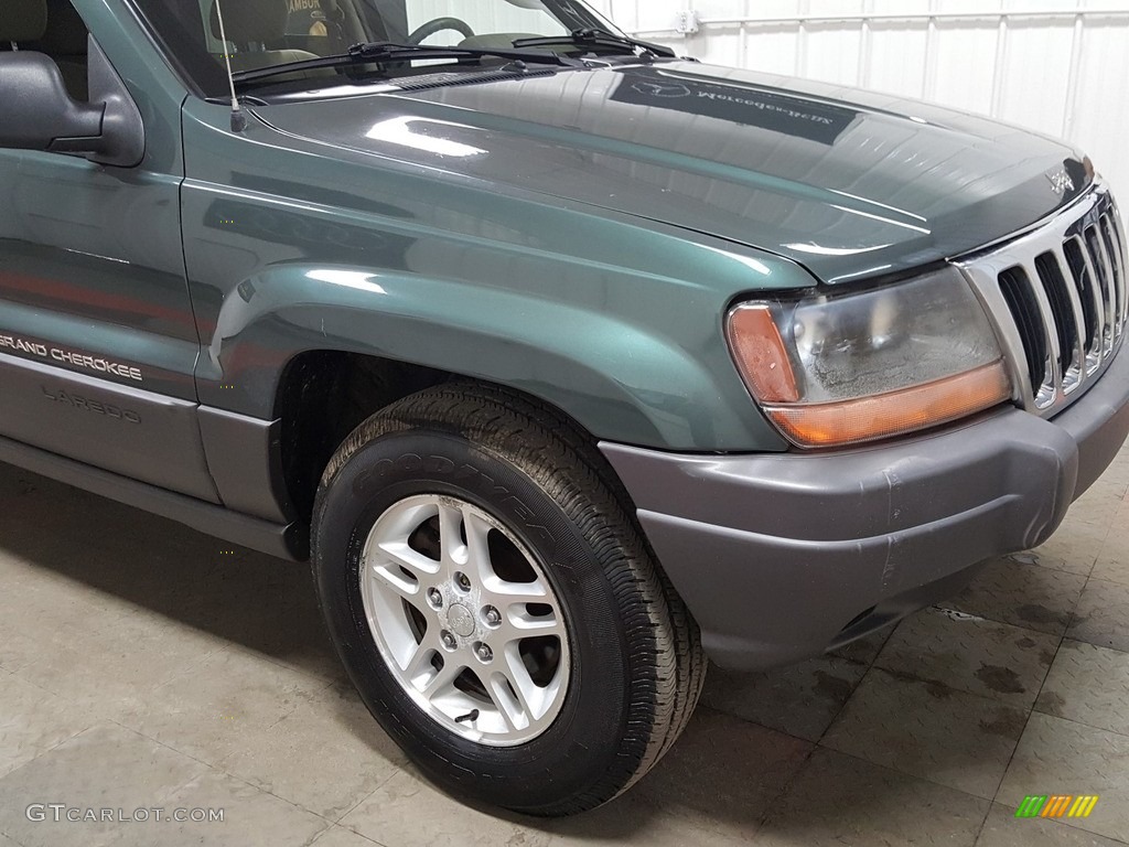 2002 Grand Cherokee Laredo 4x4 - Onyx Green Pearlcoat / Taupe photo #39