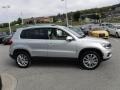 White Gold Metallic 2013 Volkswagen Tiguan SE 4Motion Exterior