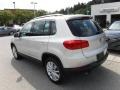White Gold Metallic - Tiguan SE 4Motion Photo No. 12