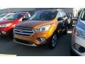 Canyon Ridge 2017 Ford Escape Titanium 4WD Exterior