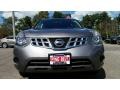 Platinum Graphite - Rogue Select S Photo No. 2