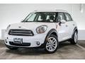 Light White - Countryman Cooper Photo No. 14