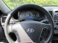 2010 Hyundai Santa Fe Gray Interior Steering Wheel Photo