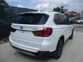 Alpine White - X5 xDrive35i Photo No. 4