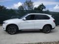 Alpine White - X5 xDrive35i Photo No. 8